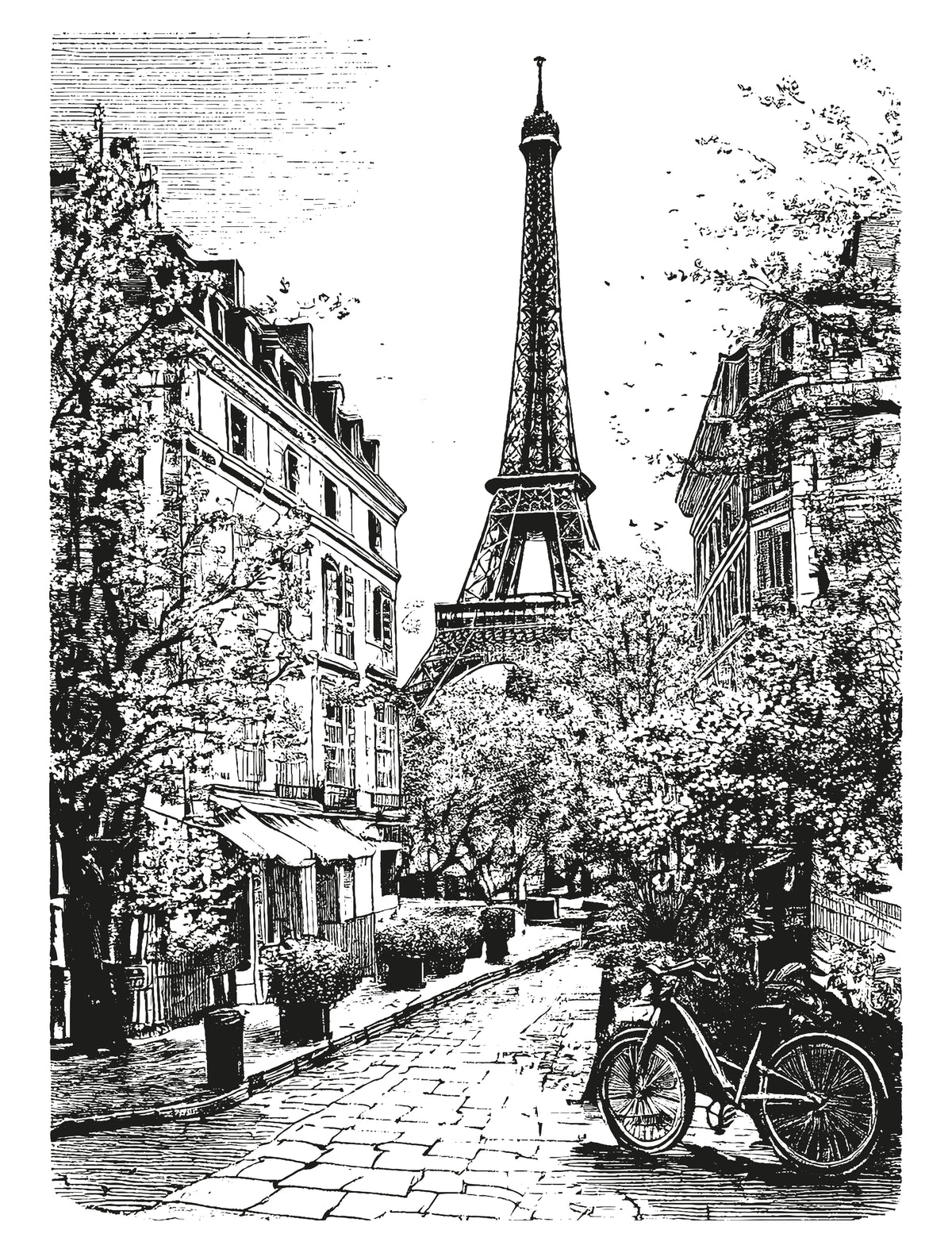 France 1950